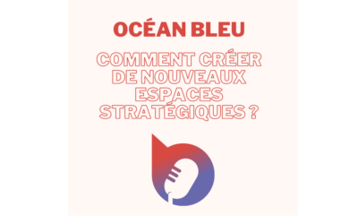 Océan Bleu : comment créer de nouveaux espaces stratégiques ?
